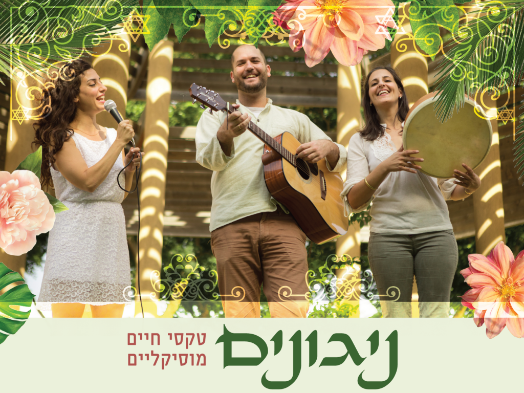 1תמונת פתיחה לסרטון יו טיוב - ורד אבידן